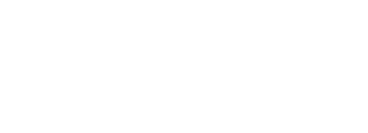 Trapole — Innovación y firmeza